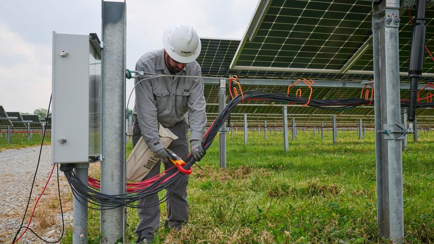 fluke distributor singapore